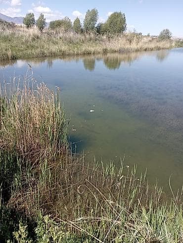 съем квартиры: 10 соток, Для бизнеса, Красная книга — 2