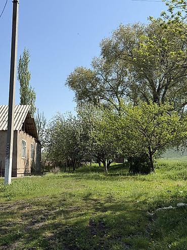 дешово продам: Сарай сатылат Беловодскийдин усту жагында алма бактары бар алдында — 2