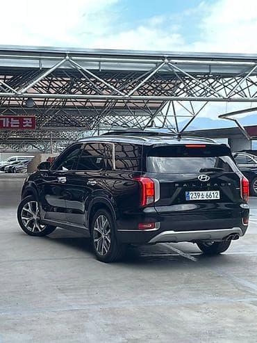 range rower: Hyundai Palisade: 2021 г., Автомат, Бензин, Кроссовер — 3