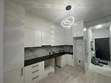 55: 1 комната, 30 м², Индивидуалка, 1 этаж, Евроремонт — 1