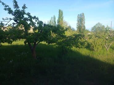 уборка садового участка: СРОЧНО ПРОДАЮ участок 1,5гаили меняю на квартиру в Бишкеке. Участок — 8
