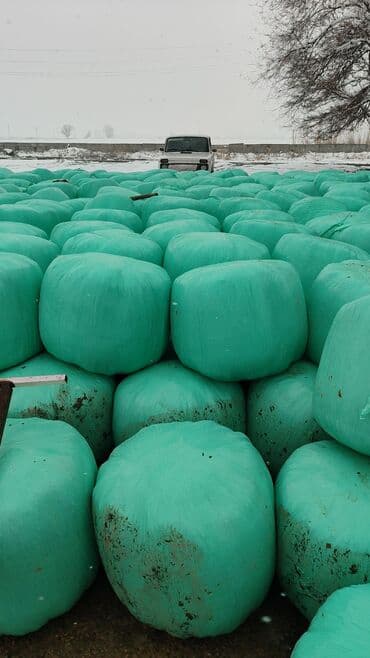 тюки кастра: Силос в тюках в плёнке - Кормовой силос, спрессованный в круглые тюки — 5