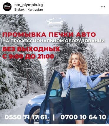 Замена фильтров, Промывка, чистка систем автомобиля, без выезда