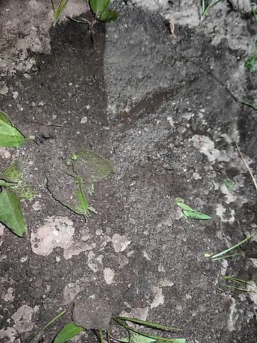 Оптималка, Чистая, Насыпью, Камаз