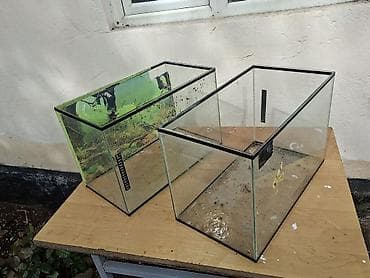 гуппи эндлера: Аквариумы из стекла — 2 шт. - Прямоугольные, без крышек. - — 1