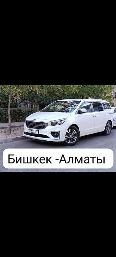 Баруучу жер: Алмата, Лицензия №: 01B015967