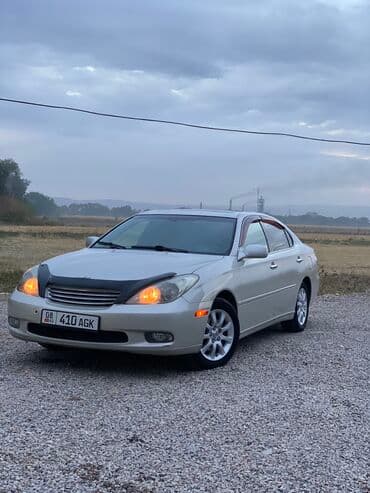 Lexus ES: 2002 г., 3 л, Автомат, Газ, Седан