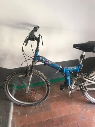 купить велосипед с большими шинами: Горный велосипед, Lespo, Рама M (156 - 178 см), Сталь, Б/у — 3