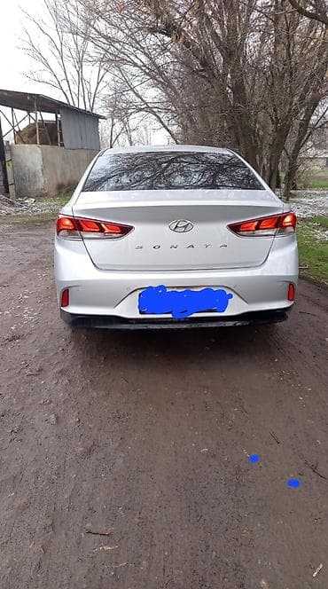 капот на соната: Hyundai Sonata: 2022 г., 0.2 л, Автомат, Газ, Седан — 1