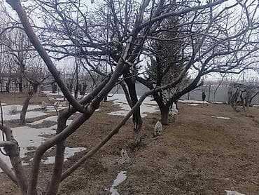 Недвижимость: 10 соток, Для сельского хозяйства — 4