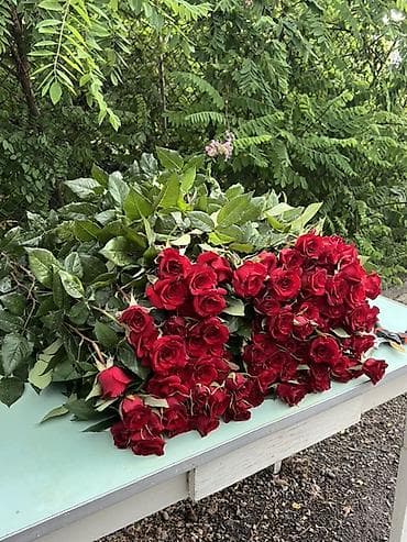 рыбы купить: Оптом и розницу от 12- до 20 сом. Мы находимся Московский район село — 2