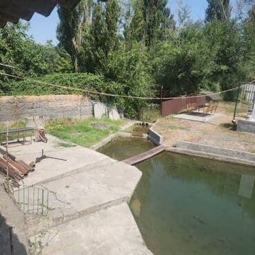 купля квартиры: Дом, 220 м², 7 комнат, Собственник, Евроремонт — 8