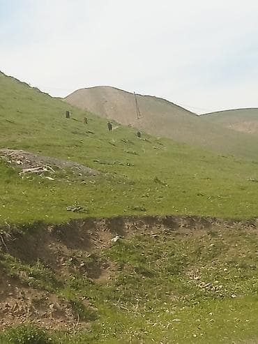 Для сельского хозяйства, Электричество