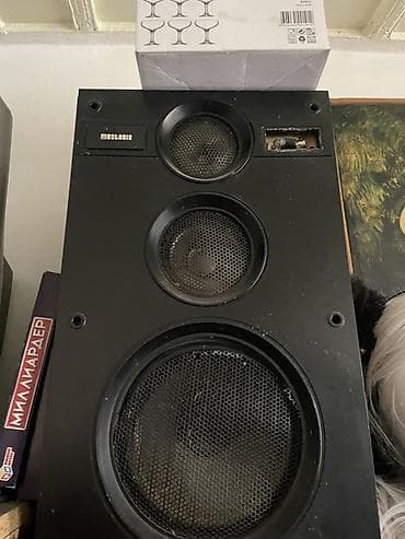 apple 12pro: Акустическая система Estonia (пара напольных колонок) - Классическая — 1