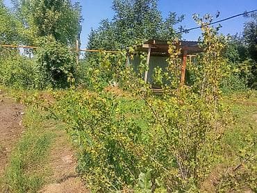 Дома: Продаётся частный дом с большим двором и капитальными воротами.11 — 7