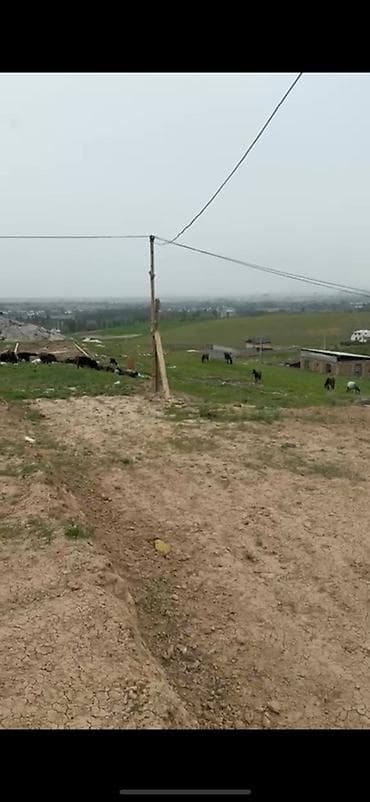 работа детский сад: 5 соток, Для строительства, Красная книга — 2