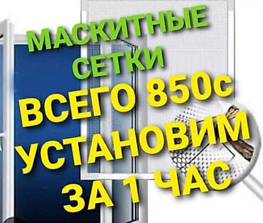 капитан часы: Москитная сетка, Бесплатная доставка — 1