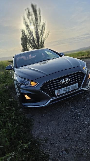 sonata 2012: Hyundai Sonata: 2017 г., 2 л, Автомат, Газ, Седан — 6