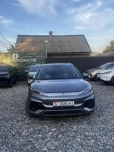 model y: BYD Yuan Plus: 2022 г., Электромобиль, Кроссовер — 1