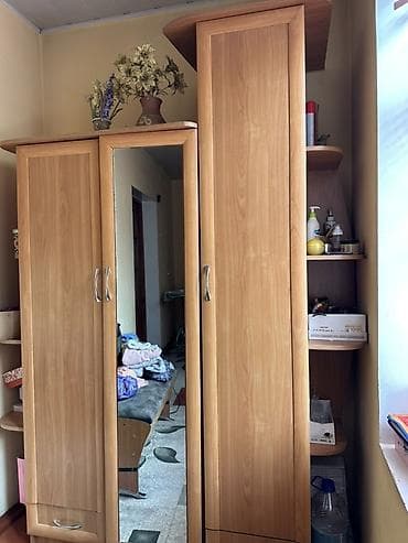 шкаф и прихожую вешалку: Шкаф-прихожая, С зеркалом, ЛДСП — 1