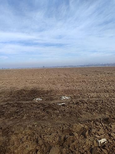 Бөлмөлөр: 30 соток, Сатып алуу-сатуу келишими — 2