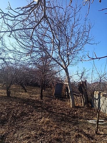 Үйдү ижарага алам: Үй, 90 м², 4 бөлмө, Менчик ээси — 5