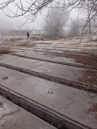Недвижимость: 7 соток, Для строительства, Красная книга — 4