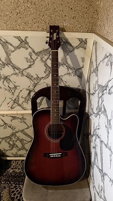 12 струн: Акустическая гитара типа дредноут с вырезом (cutaway), 6 струн. - — 5
