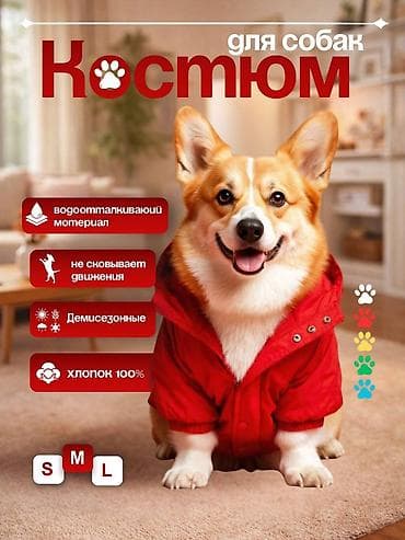 продаю пекарню: Графический дизайнер — 10