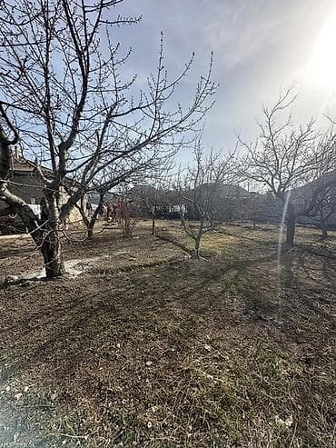 Жер тилкелерин сатуу: 6 соток, Бизнес үчүн — 3