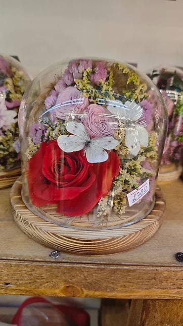 бесконечные розы: Роза в колбе, она не завянет до 3 лет. Живые цветы, букет который не — 3