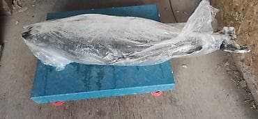 Замороженные овощи: ПРОДУКТЫ ПИТАНИЯ ДОСТАВКА ПО ГоРоДу И РеГиОн. ЗАМОРОЖЕННЫЕ — 5