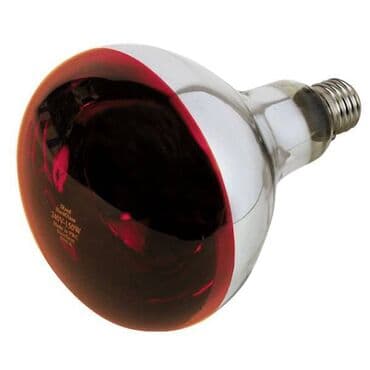 купить инкубационное яйцо породистых кур: Лампа инфракрасная 150 W 200-220 сом W 250W -220 сом . Для обогрева — 1