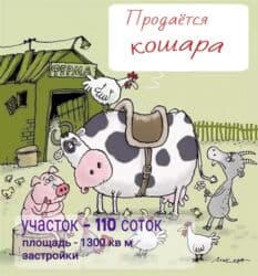 продаю дом сокулукский район: Продаю Ферма КРС, 110 соток, Не действующий, Электричество — 1