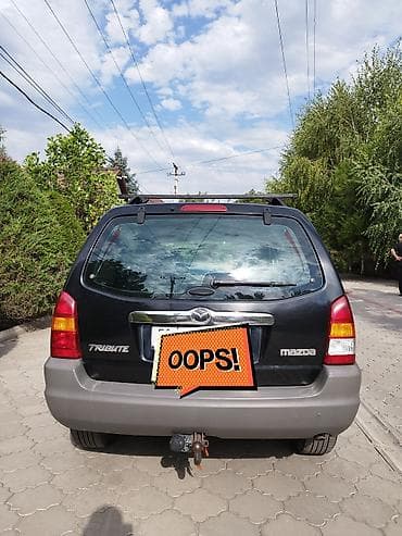 мазда трибють: Mazda Tribute: 2003 г., 2 л, Механика, Бензин, Кроссовер — 2