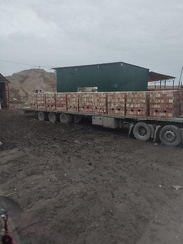 продам картошку: Пустотелый, дырчатый, Жженый кирпич, Одинарный, 250×120×65 — 3