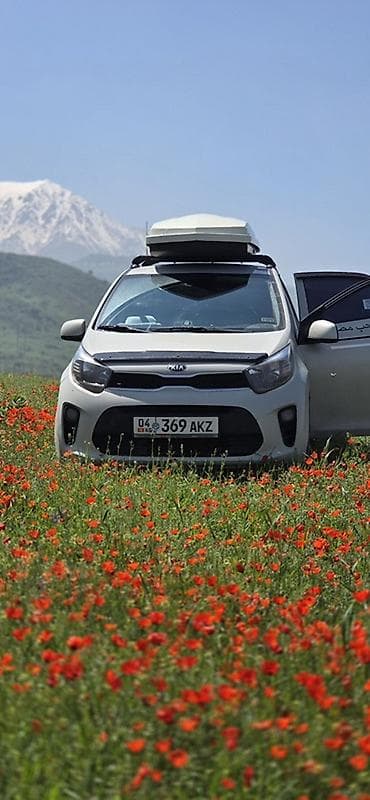 byd plus: Kia Morning: 2019 г., 1 л, Автомат, Бензин, Универсал — 2