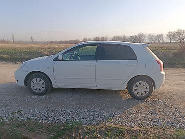 чернение шин: Toyota Allex: 2003 г., 1.5 л, Автомат, Бензин, Хэтчбэк — 2