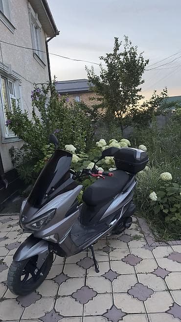 165000: 🔥 ПРОДАЕТСЯ МАКСИ-СКУТЕР 150 КУБ. СМ³ 🔥 💎 Состояние нового мопеда! — 1