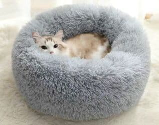 все породы собак с фотографиями: Состояние; новое доставка платная. Зоотовары Переноска для животных — 22