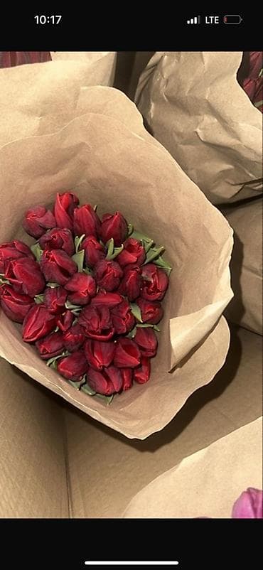 воздушный шары: Тюльпаны в крафт-упаковке - Свежесрезанные тюльпаны с плотным — 2