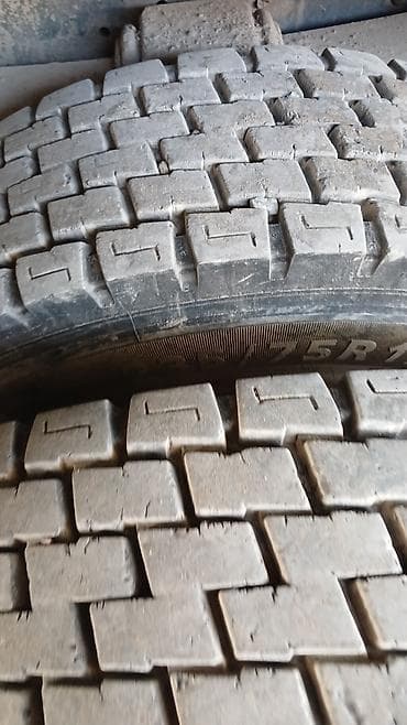 купить самосвал 20 тонник: Грузовик, MAN, Стандарт — 8