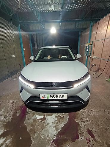 ravon gentra: BYD Yuan Up: 2025 г., 2.5 л, Электромобиль, Кроссовер — 6