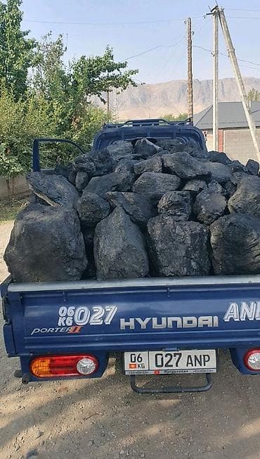 манты 10 с: Бел алма күшы жакшы йирик саппатүү даставка бар сомасвал местада — 1