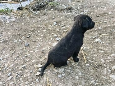 сколько стоит муравейник мотоцикл: Toyota AA: 2025 г. — 3