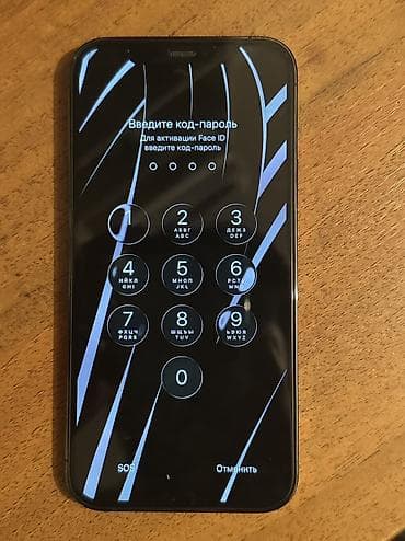 face: IPhone 12 Pro, Б/у, 256 ГБ, Black Titanium, Чехол, 76 % — 2