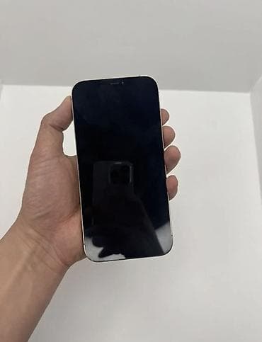 switch lite: IPhone 12 Pro Max, Золотой — 5