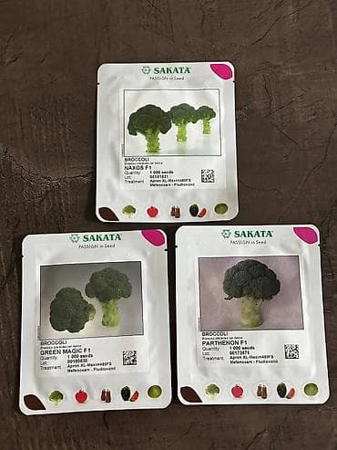 Промышленная химия: Семена овощей: Брокколи — 4