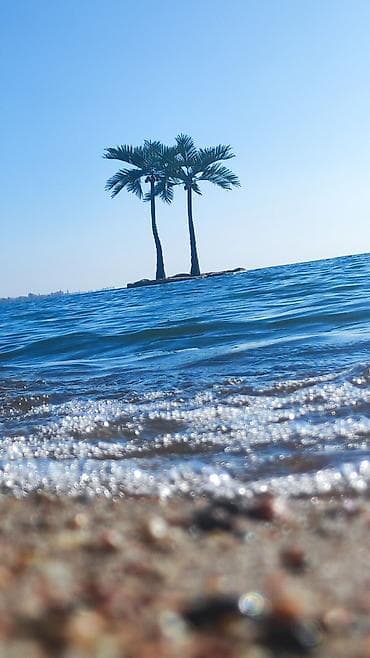 сланцы на лето: Коттедж, коттедж ЦО Palm Beach, Чок-Тал, Детская площадка, Парковка, стоянка, Охраняемая территория — 1