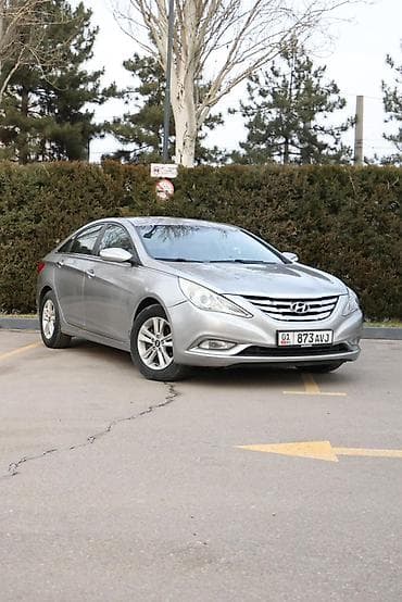 Hyundai Sonata: 2009 г., 2 л, Автомат, Бензин, Седан